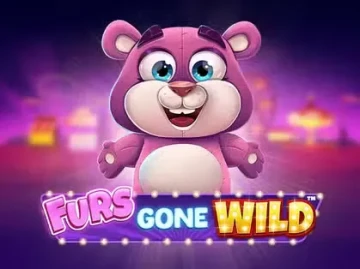 Spinbara Casino screenshot